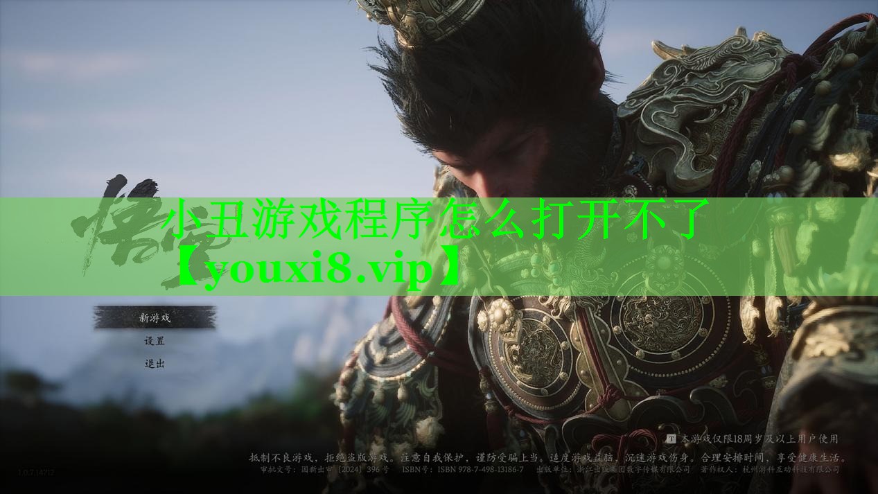 小丑游戏程序怎么打开不了