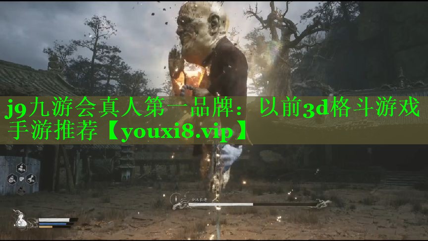 以前3d格斗游戏手游推荐 以前3d格斗游戏手游推荐