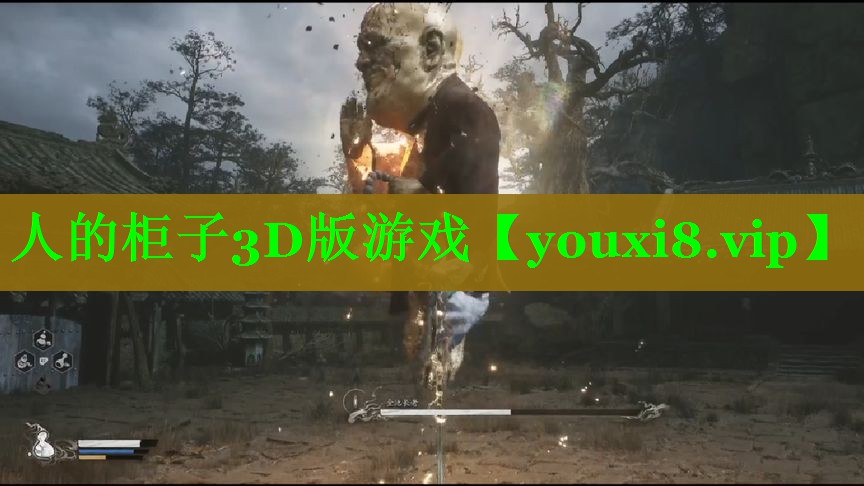 人的柜子3D版游戏